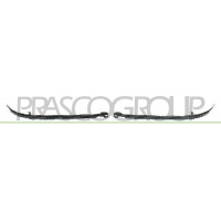 AD0152103 PRASCO Облицювання основна фара