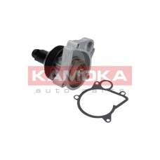 T0062 KAMOKA Водяний насос охолодження двигуна