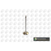 впускний клапан WILMINK-GROUP WG1491526