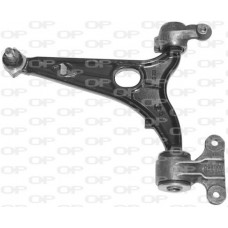 SSW1189.10 OPEN PARTS Ричаг незалежної підвіски колеса, подвеска колеса