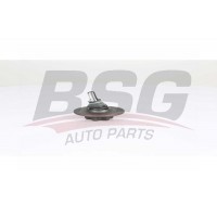 BSG 75-310-053 BSG Шарнір незалежної підвіски поворотного важеля