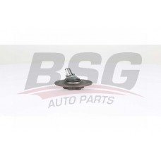 BSG 75-310-053 BSG Шарнір незалежної підвіски поворотного важеля
