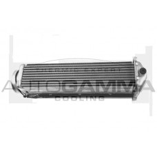 107925 AUTOGAMMA Интеркулер