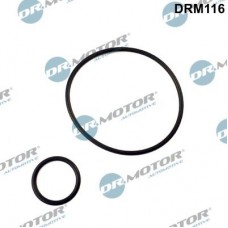 DRM116 Dr.Motor Automotive Комплект прокладок впускний колектор