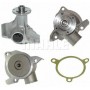 CP 295 000P MAHLE Водяний насос охолодження двигуна