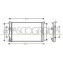 DS960R002 PRASCO Радіатор охолодження двигуна