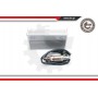 09SKV600 ESEN SKV датчик кисню