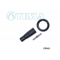CP043 TESLA Вилка, Свічка запалювання