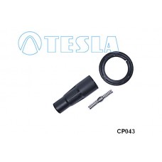 CP043 TESLA Вилка, Свічка запалювання