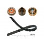 DKT-6511 KAVO PARTS Комплект ременя ГРМ