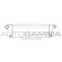 102396 AUTOGAMMA Интеркулер
