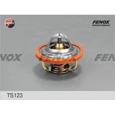 TS123 FENOX Термостат охолоджувальна рідина
