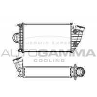 Интеркулер AUTOGAMMA 105454