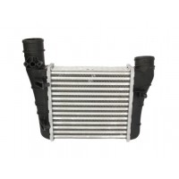 Интеркулер THERMOTEC DAA003TT