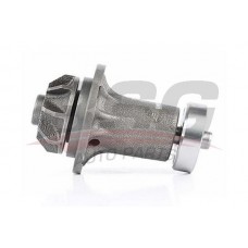 BSG 60-500-018 BSG Водяний насос охолодження двигуна
