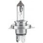 8GJ 235 698-101 HELLA Лампа розжарювання, Основна фара