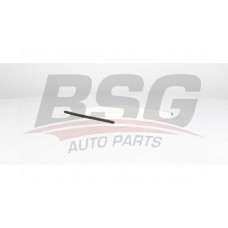BSG 75-145-007 BSG Фільтр повітря у внутрішньому просторі
