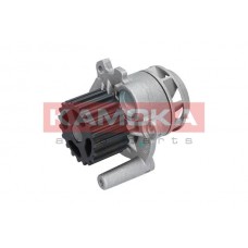 T0025 KAMOKA Водяний насос охолодження двигуна