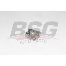BSG 15-500-034 BSG Водяний насос охолодження двигуна