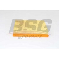 BSG 70-135-011 BSG Повітряний фільтр