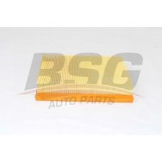 BSG 70-135-011 BSG Повітряний фільтр