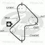 8647 10025 TRISCAN Комплект ременя ГРМ
