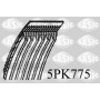 5PK775 SASIC Поліклиновий ремінь
