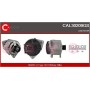 CAL30209GS CASCO Генератор