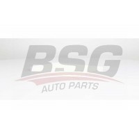 BSG 75-145-011 BSG Фільтр повітря у внутрішньому просторі