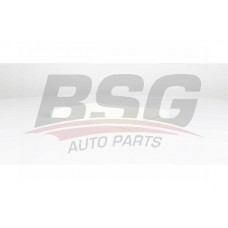 BSG 75-145-011 BSG Фільтр повітря у внутрішньому просторі
