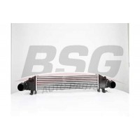 BSG 60-535-004 BSG Интеркулер