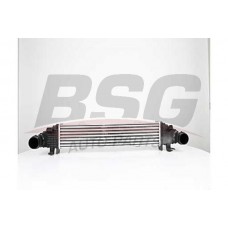 BSG 60-535-004 BSG Интеркулер