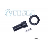 CP054 TESLA Вилка, Свічка запалювання