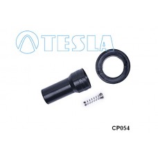 CP054 TESLA Вилка, Свічка запалювання