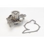 WP6073 CONTINENTAL CTAM Водяний насос охолодження двигуна