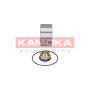 5600006 KAMOKA Комплект підшипника ступиці колеса
