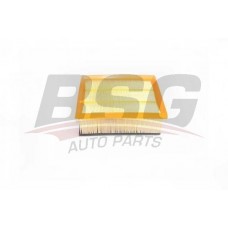 BSG 25-135-005 BSG Повітряний фільтр