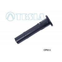 CP033 TESLA Вилка, Свічка запалювання