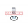 5600084 KAMOKA Комплект підшипника ступиці колеса