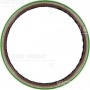 WG1250506 WILMINK GROUP Ущільнювальне кільце колінчастий вал