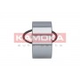 5600084 KAMOKA Комплект підшипника ступиці колеса