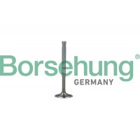 випускний клапан Borsehung B19010