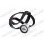 307T0145 RIDEX Комплект ременя ГРМ