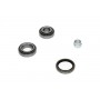 WBK-4007 KAVO PARTS Комплект підшипника ступиці колеса
