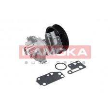 T0142 KAMOKA Водяний насос охолодження двигуна