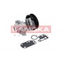 T0142 KAMOKA Водяний насос охолодження двигуна