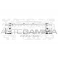 102016 AUTOGAMMA Интеркулер