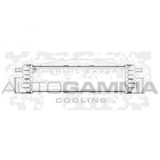 102016 AUTOGAMMA Интеркулер
