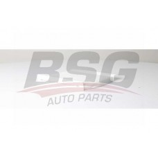 BSG 25-145-002 BSG Фільтр повітря у внутрішньому просторі