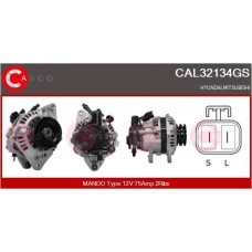 CAL32134GS CASCO Генератор
